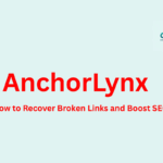 How to Recover Broken Links and Boost SEO with AnchorLynx