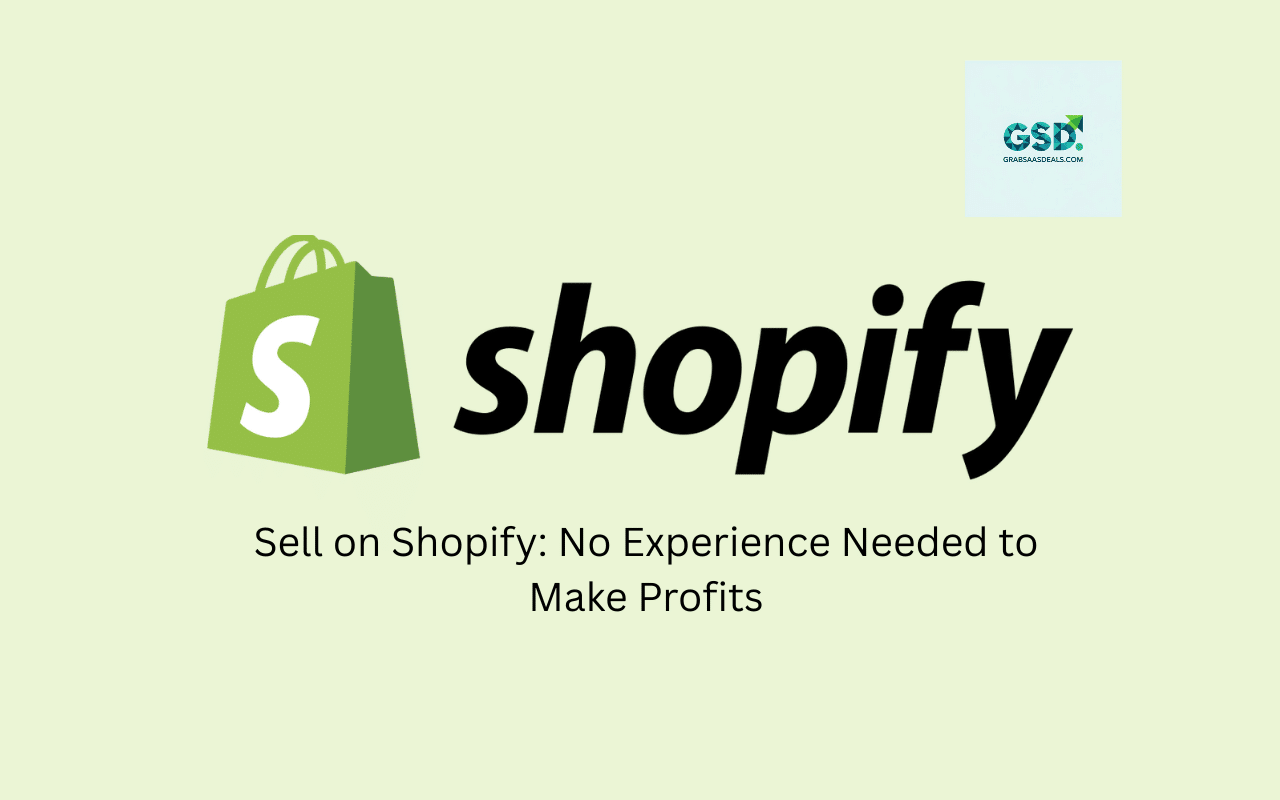 Sell on Shopify No Experience Needed to Make Profits