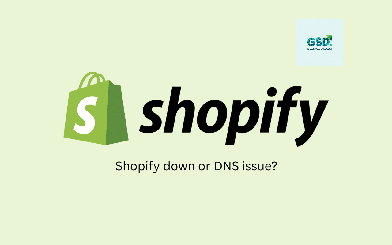 Shopify down or DNS issue