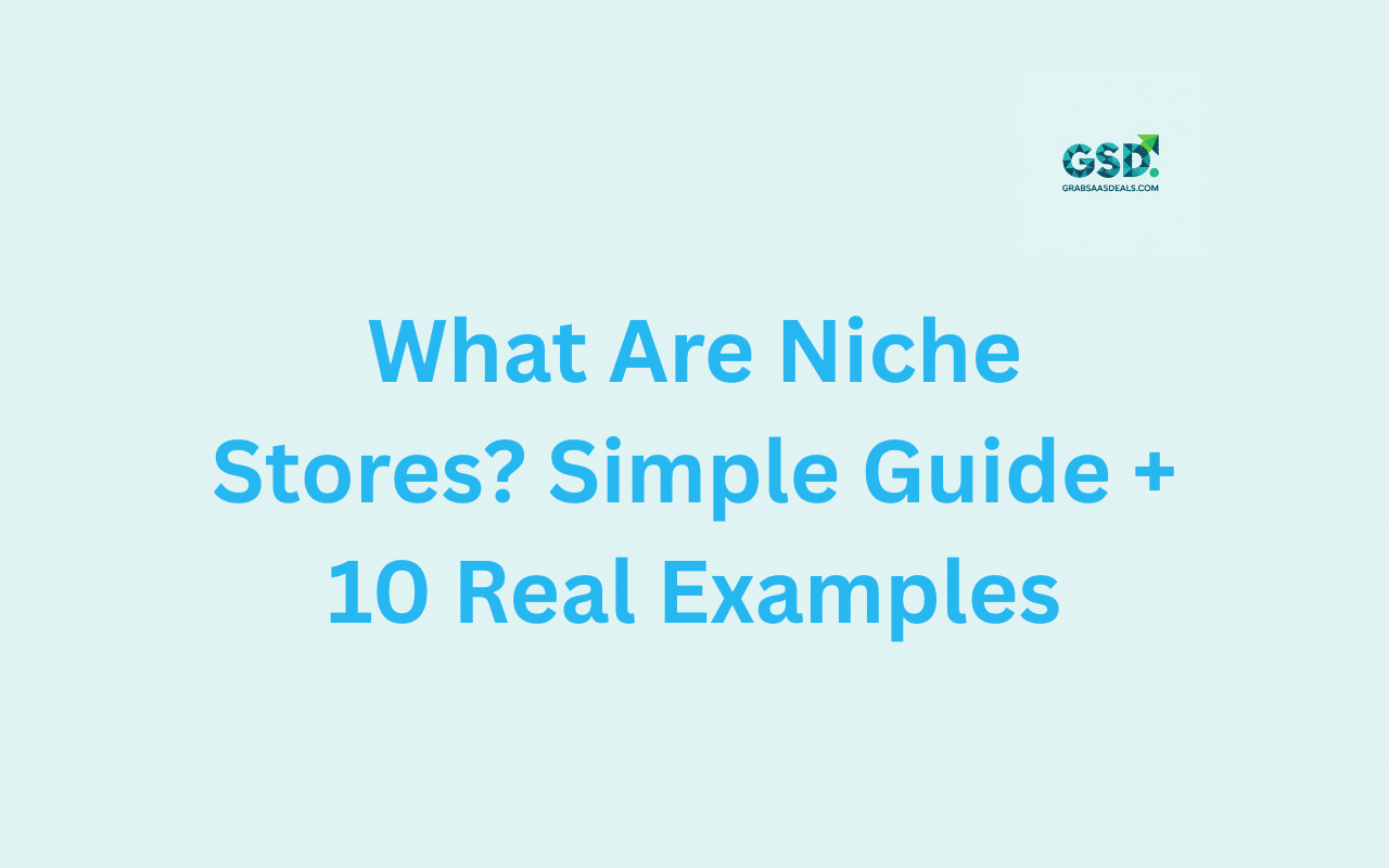 What Are Niche Stores Simple Guide + 10 Real Examples